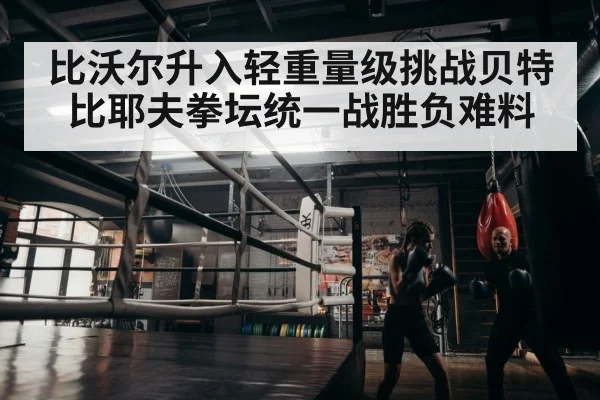 boxer training
