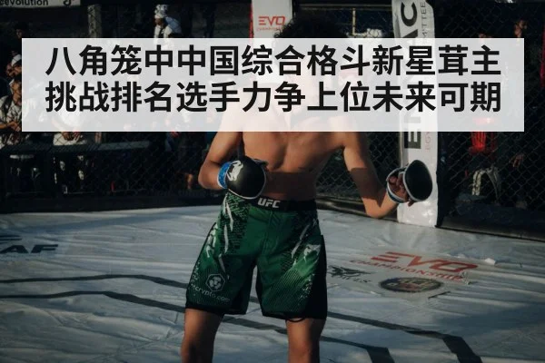 八角笼中中国综合格斗新星茸主挑战排名选手力争上位未来可期